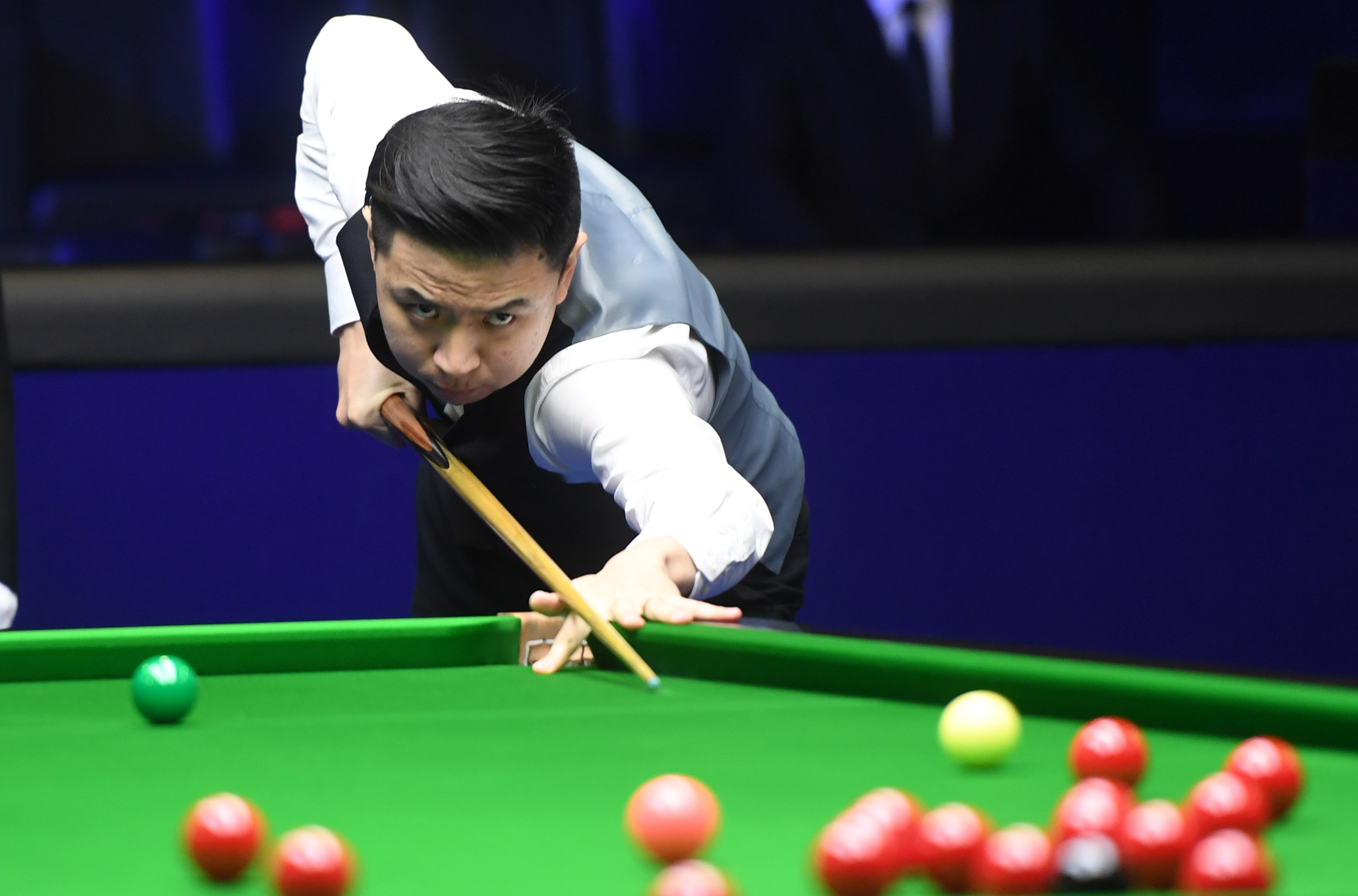 性与专业能 性与专业能